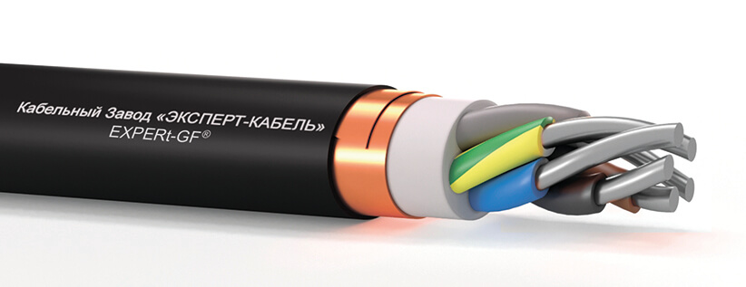 Вз-АРэВГнг(А)-LS