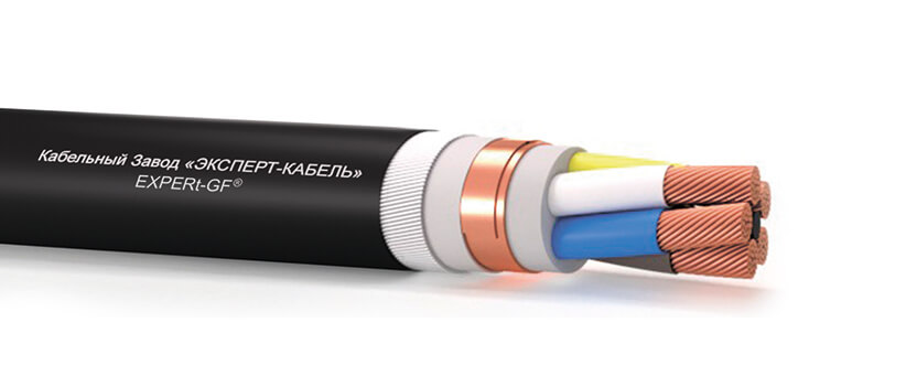 Вз-РэЭаКаПснг(А)-HF-ХЛ