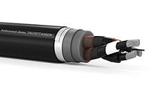 АПвБаВнг(А)-ХЛ