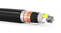 АПвБВгнг(А)