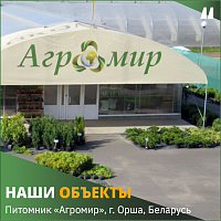 Белорусский питомник «Агромир Би Уай»